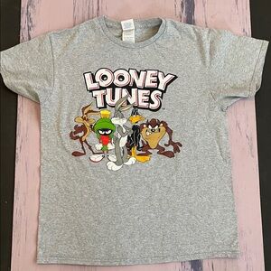 Delta Pro Weight Gray T-Shirt